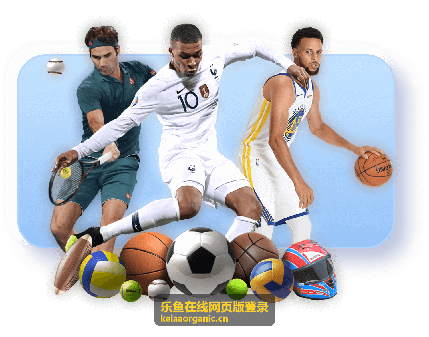 乐鱼在线网页版登录个人隐私保护建议